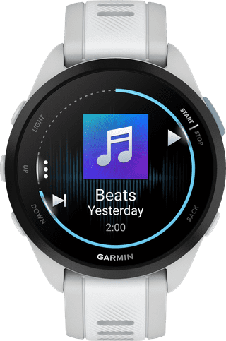 Garmin Forerunner 165 Music Gris/Blanc