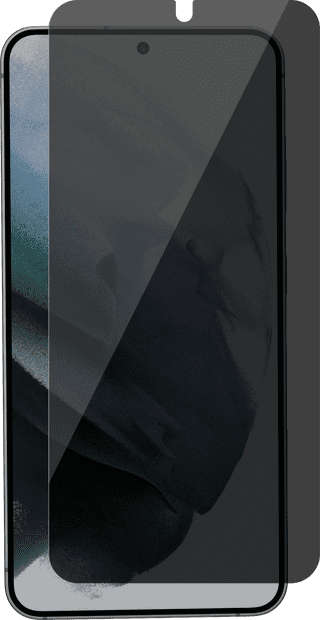 BlueBuilt Samsung Galaxy S25 Filtre de Confidentialité Protège-écran Verre