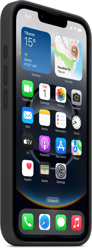 Apple iPhone 16e Back Cover Noir
