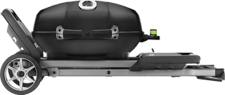 Napoleon TravelQ PRO285X