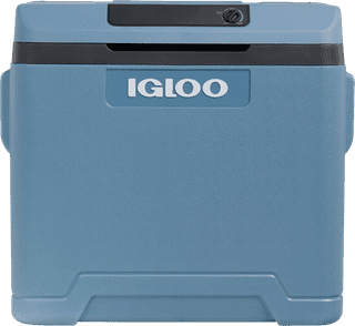 Igloo IE42