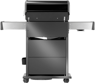 Napoleon Rogue PRO-S 425