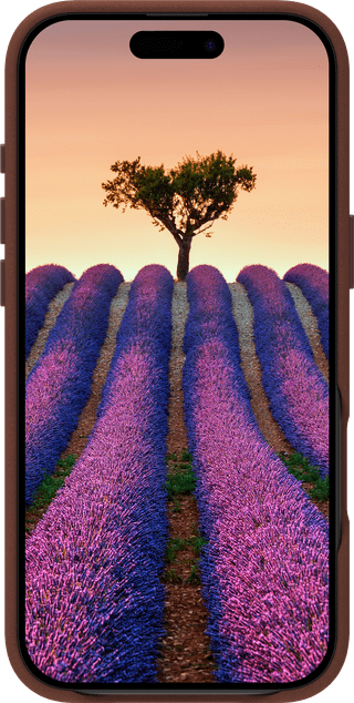 DBramante1928 Roskilde Apple iPhone Air Back Cover met MagSafe Leer Bruin