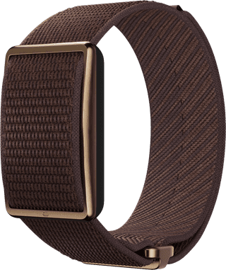 Polar Loop Brown