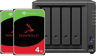 Synology DS925+ + Seagate IronWolf 4 To Lot de 2