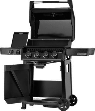 Napoleon Freestyle 425 SB Black