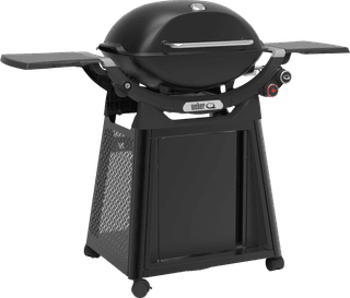 Weber Q 3200N met Onderstel