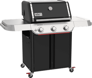 Weber Genesis E-315W