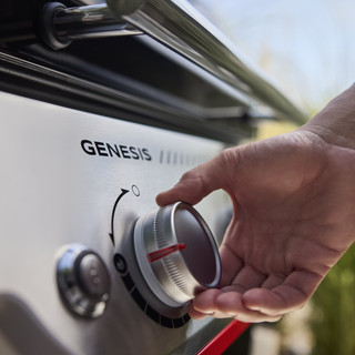 Weber Genesis E-315W