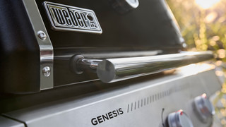 Weber Genesis E-315W