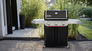 Weber Genesis E-315W