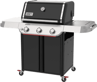 Weber Genesis E-315W