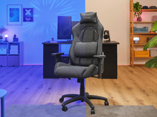 Trust GXT 723 Ruya Gaming Stoel Grijs