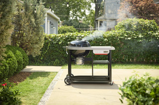 Weber Performer Premium