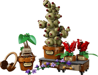 LEGO Harry Potter - Les Plantes du Cours de Botanique de Poudlard 76474