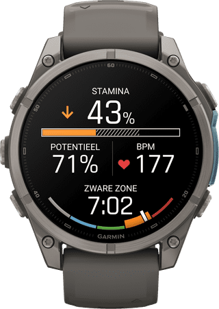 Garmin Fenix 9 Gris 47 mm