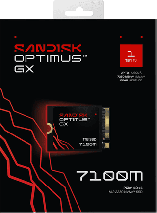 SANDISK Optimus GX 7100M 1TB NVMe SSD