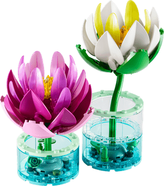 LEGO Botanicals - Les Nénuphars 11511