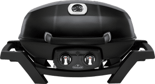 Napoleon TRAVELQ PRO285 Gas