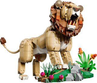 LEGO Creator 3-en-1 - Animaux Sauvages : le Lion Majestueux 31386