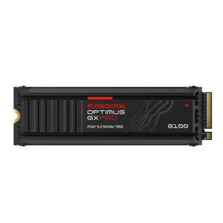 SANDISK Optimus GX PRO 8100 1TB Heatsink PCIe 5.0 NVMe SSD