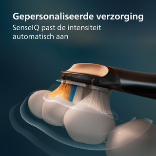 Philips Sonicare Series 9900 HX9813/92 Zwart