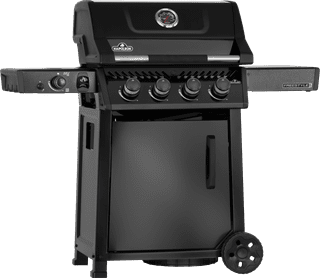 Napoleon Freestyle PRO 425 DSIB