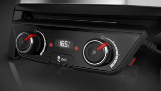 Weber Pulse 2000 avec Support