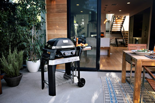 Weber Pulse 2000 avec Support