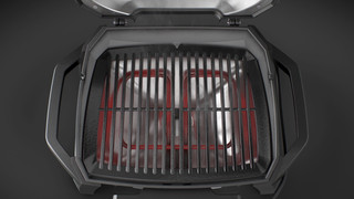 Weber Pulse 1000