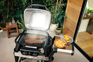 Weber Pulse 2000 avec Support