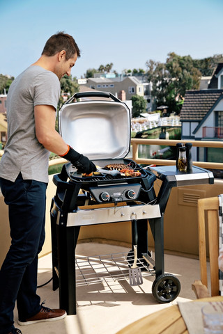 Weber Pulse 2000 avec Support