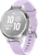 Garmin Lily 2 Active Silver/Purple Silver