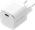 BlueBuilt Power Delivery Charger with USB-C Port 65W White White