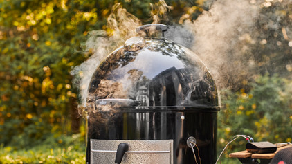 Thermomètres à viande