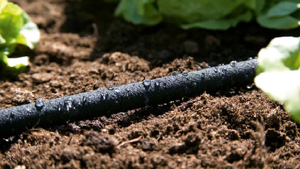 Tuyaux microporeux