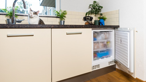 Build-in service freezers