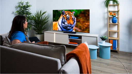 Which LG OLED television suits your use?