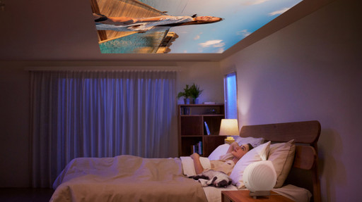 projectietechnieken van beamers