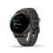 Garmin Venu 2S Gray