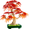 LEGO Botanicals - Bonsaï d'Érable Rouge du Japon 10348