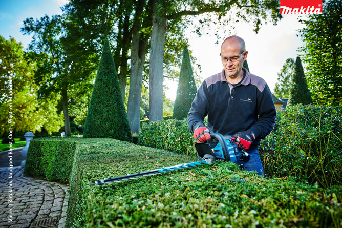 Reguliere heggenscharen