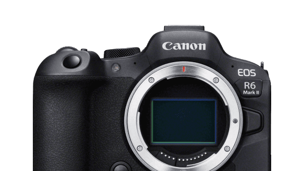 All mirrorless cameras