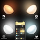 Philips Hue Go White and Color Duo Pack visual supplier