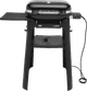 Weber Lumin Noir avec Support Main Image