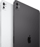 Apple iPad Pro (2024) 13 inches 256GB WiFi Black + Apple Pencil Pro combined product