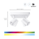 WiZ 4 Spots Imageo Square- Colored and White Light - GU10 - White visual supplier
