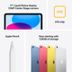Apple iPad (2025) 11 inches 128GB WiFi Blue visual supplier